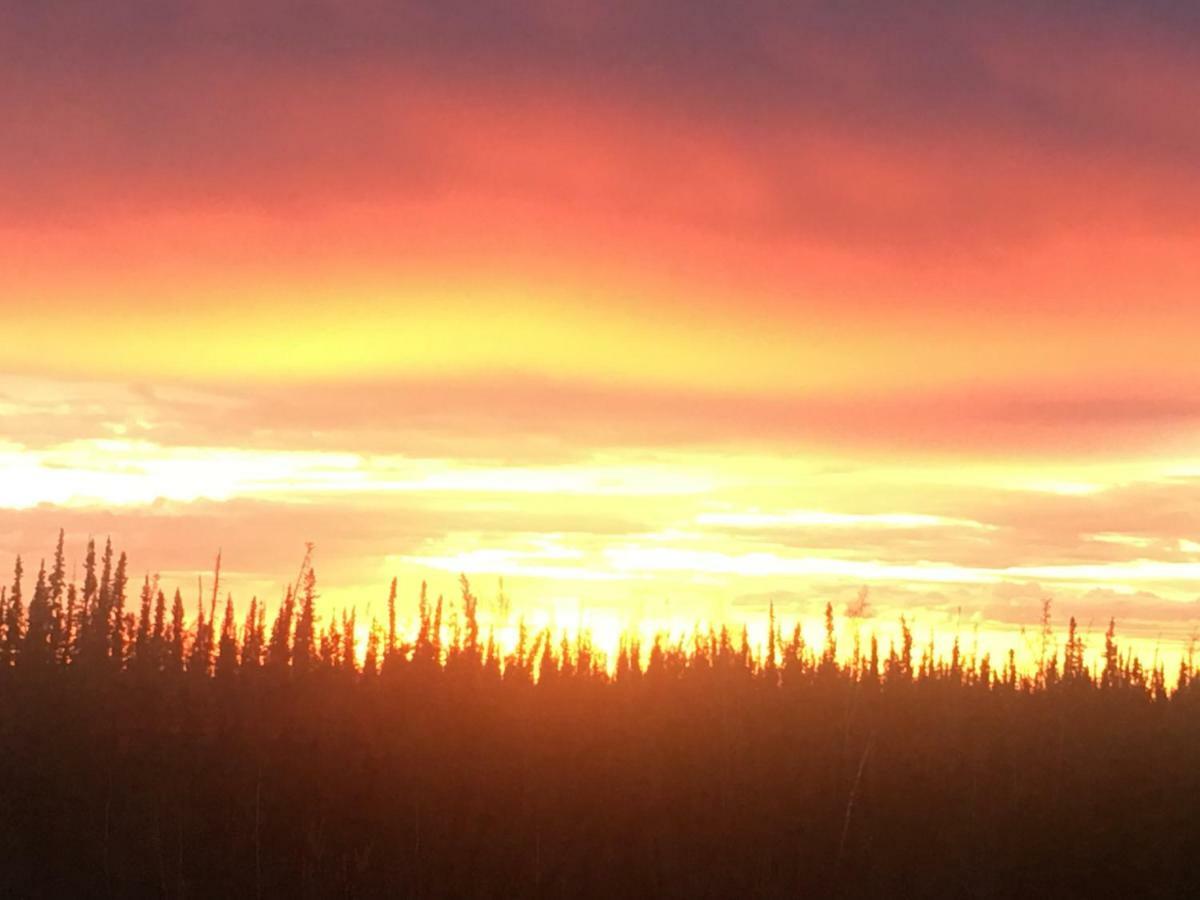 Villa Fireweed Roadhouse Nenana Exterior foto